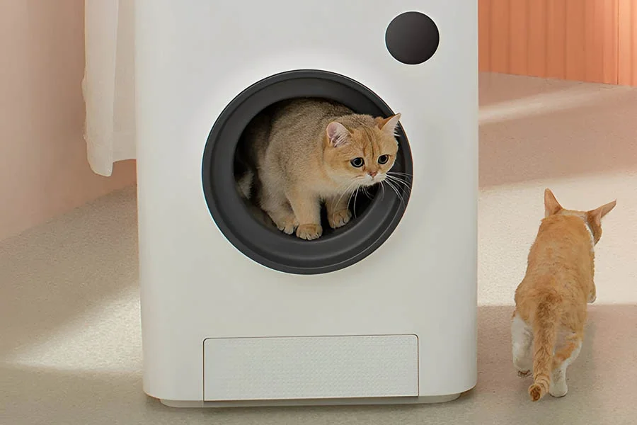 best automatic litter boxes for cats